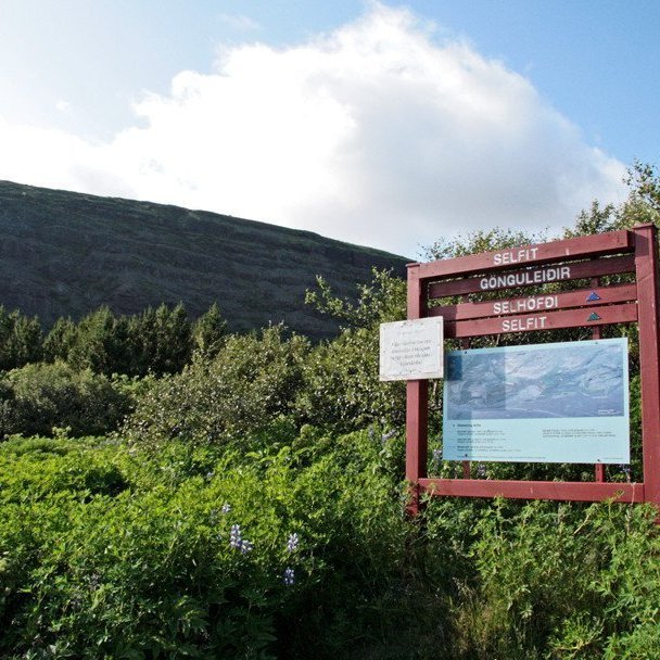 (mynd: Esther Ösp Gunnarsdóttir)