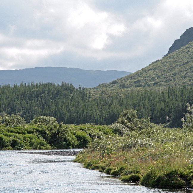(mynd: Esther Ösp Gunnarsdóttir)