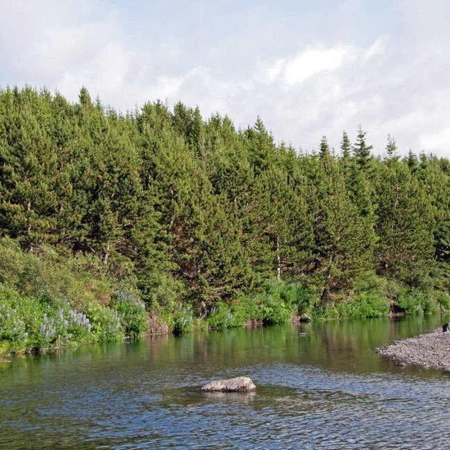 (mynd: Esther Ösp Gunnarsdóttir)