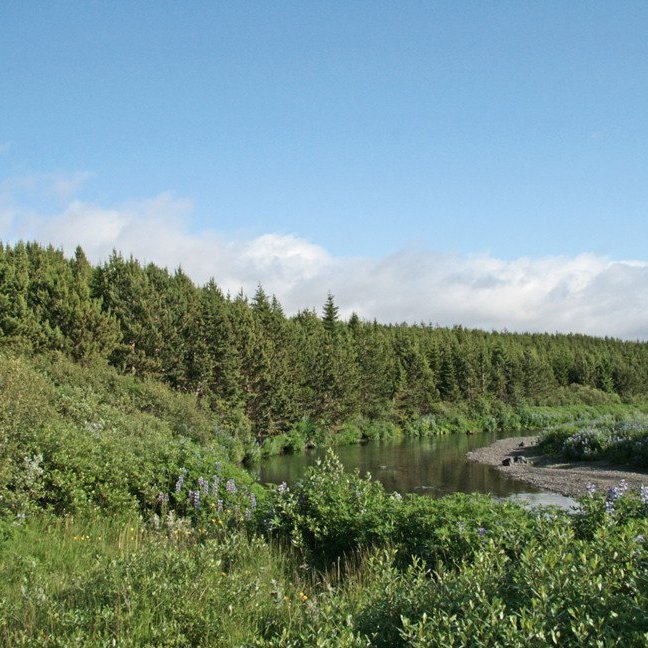 (mynd: Esther Ösp Gunnarsdóttir)