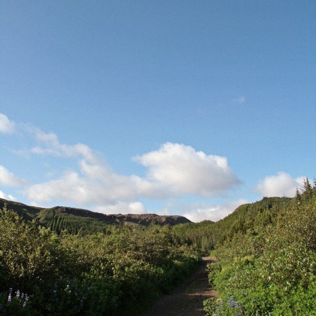 (mynd: Esther Ösp Gunnarsdóttir)