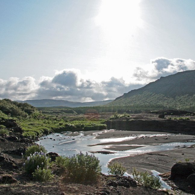 (mynd: Esther Ösp Gunnarsdóttir)