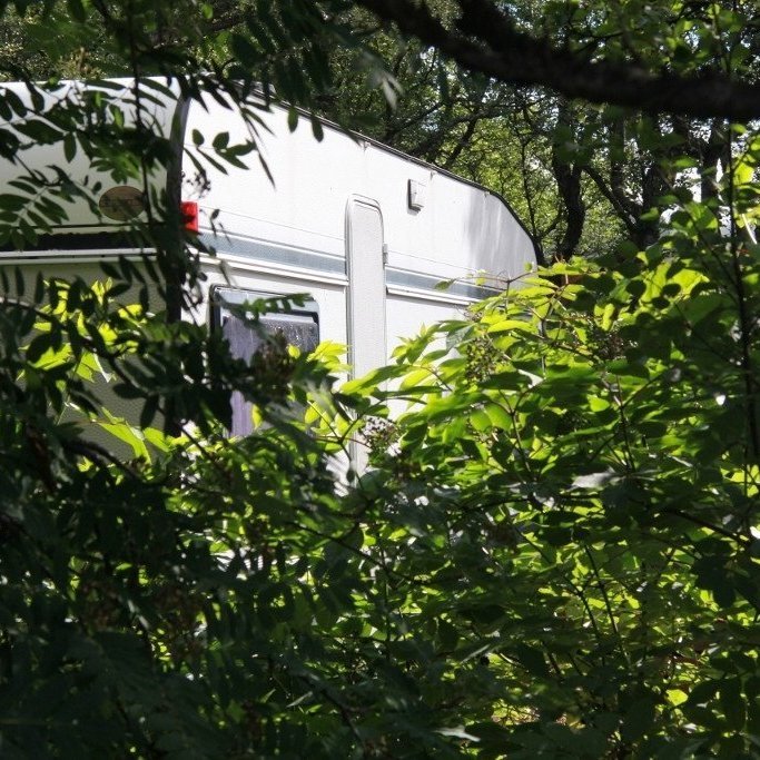 Í Skriðufellsnesi vex aðallega birki, reyniviður og önnur lauftré. Skógurinn er því ekki mjög eldfimur en þó getur verið aukin eldhætta í mikilli þurrkatíð, einkum á vorin en einnig ef þrálátir þurrkar verða á sumrin.. Ljósmynd: Pétur Halldórsson