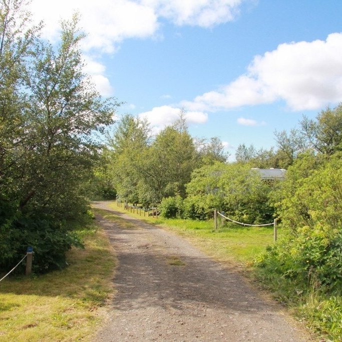Sjá þarf til þess að vegir á svæðinu beri þunga slökkvibíla, að gróður sé ekki of mikill við vegina og að hringtengingar séu góðar á svæðinu til að tryggja flóttaleiðir. Ljósmynd: Pétur Halldórsson