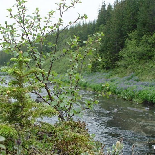 (mynd: Hreinn Óskarsson)