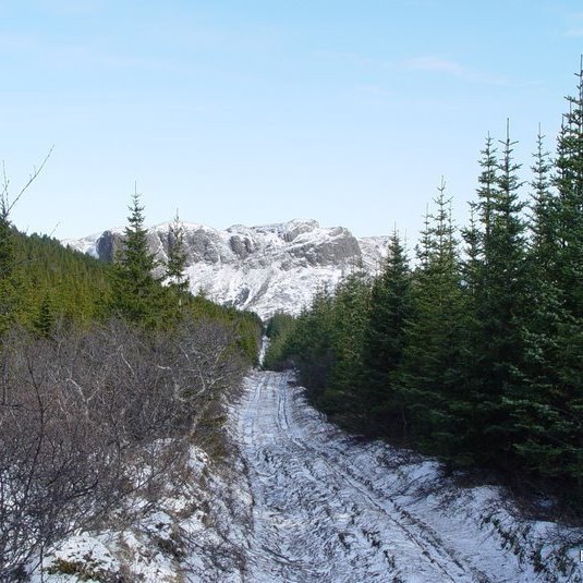 (mynd: Hreinn Óskarsson)