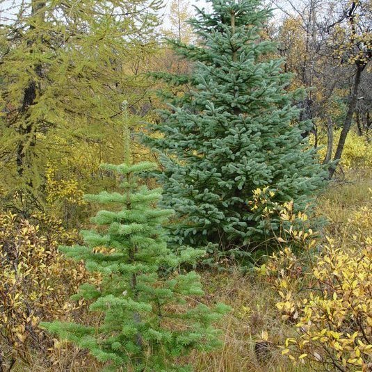 (mynd: Hreinn Óskarsson)