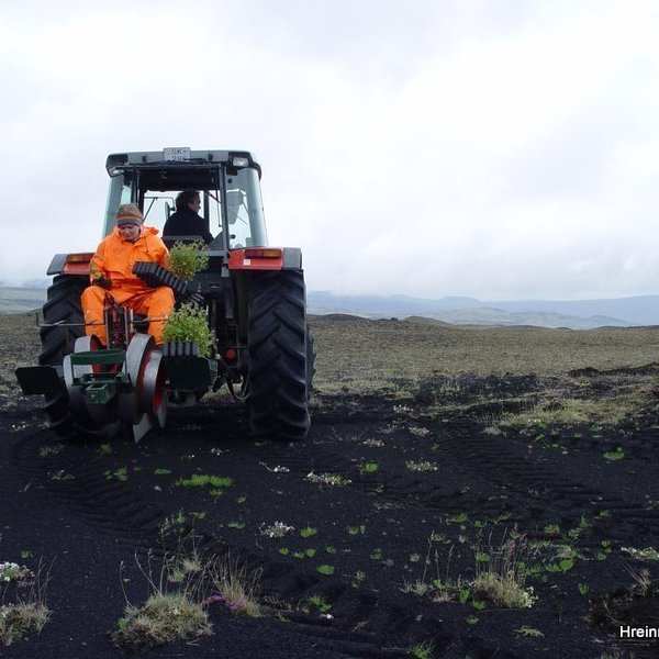 (mynd: Hreinn Óskarsson)