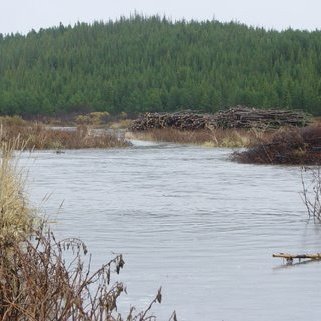 (mynd: Hreinn Óskarsson)