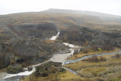 Vatnavextir í Þjórsárdal