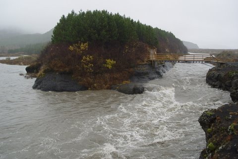 Vatnavextir í Þjórsárdal