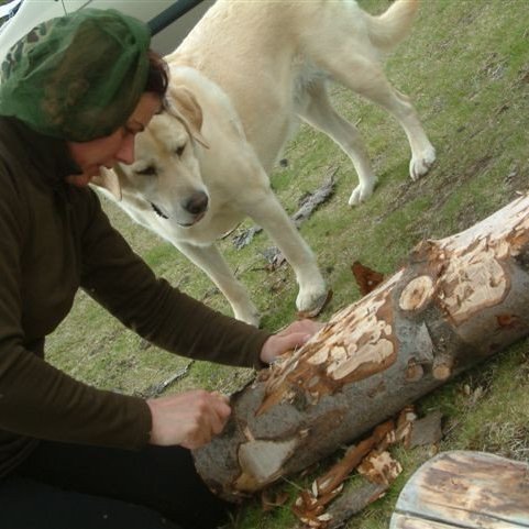 Lesið í skóginn - Þjórsárskóli.