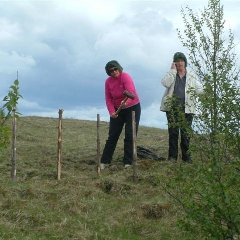 Lesið í skóginn - Þjórsárskóli.