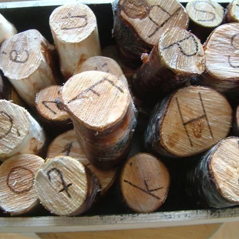 Lesið í skóginn - Þjórsárskóli.