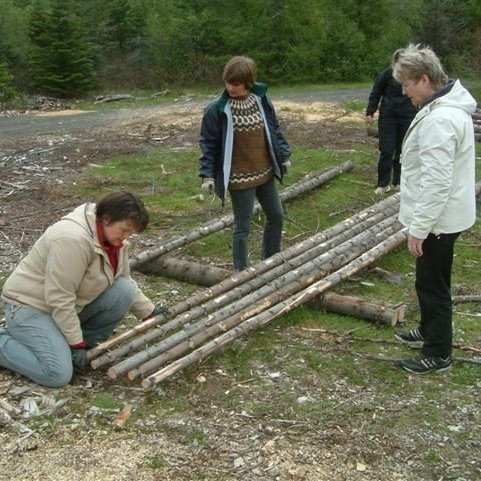 Lesið í skóginn - Þjórsárskóli.