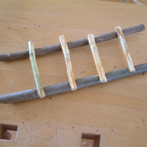 Lesið í skóginn - Þjórsárskóli.