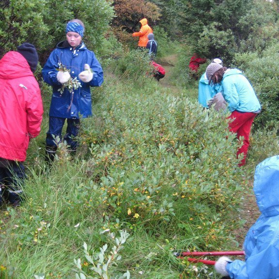 (mynd: Jóhannes H. Sigurðsson)