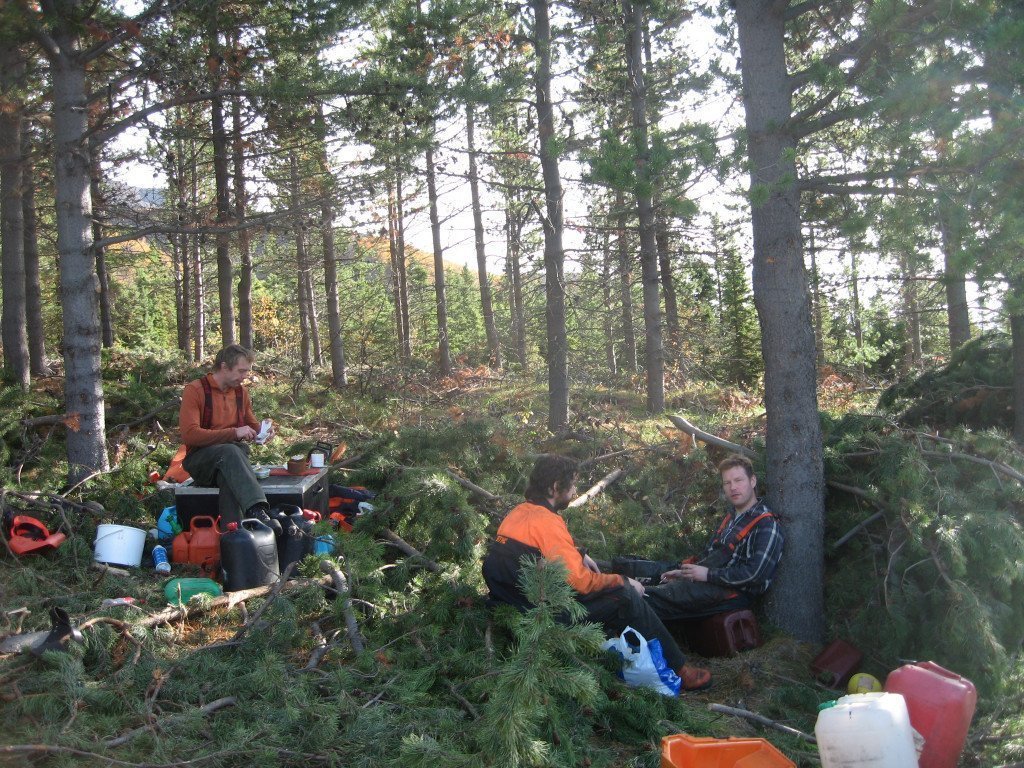 Stund milli stríða við grisjun í Þórðarstaðaskógi haustið 2009. Ljósmynd: Sigurður Skúlason