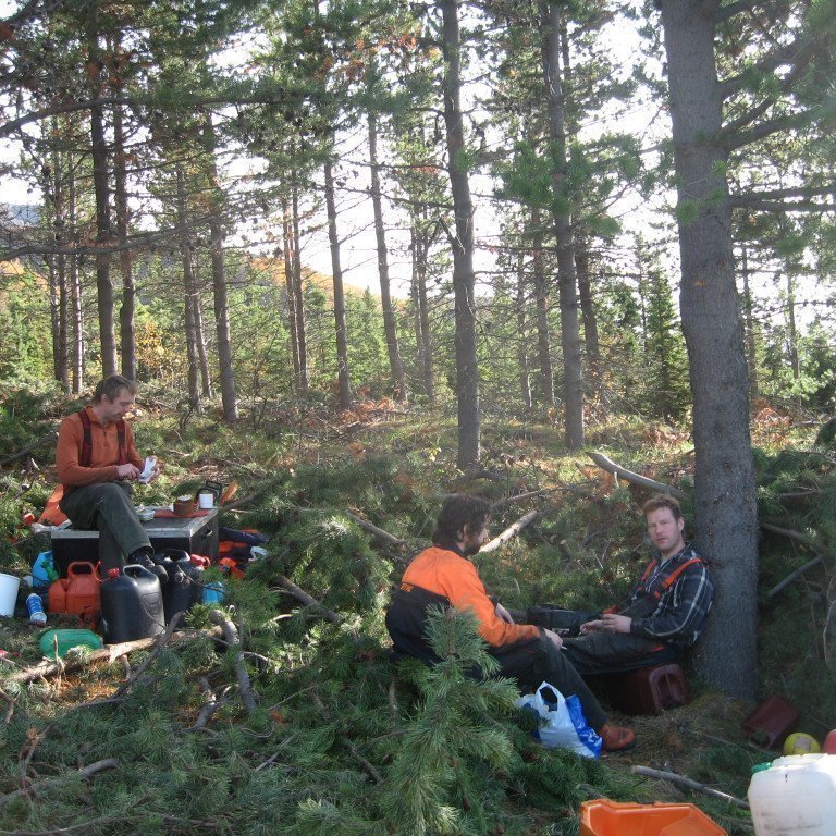 Stund milli stríða við grisjun í Þórðarstaðaskógi haustið 2009. Ljósmynd: Sigurður Skúlason