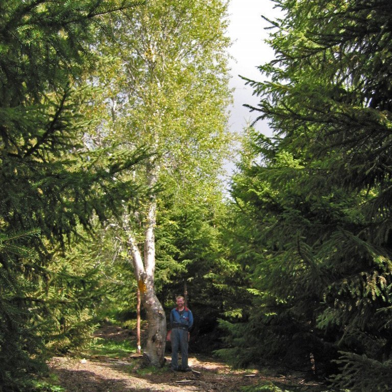 (mynd: Sigurður Skúlason)