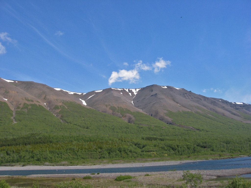 Þórðastaðaskógur