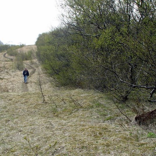 (mynd: Hreinn Óskarsson)