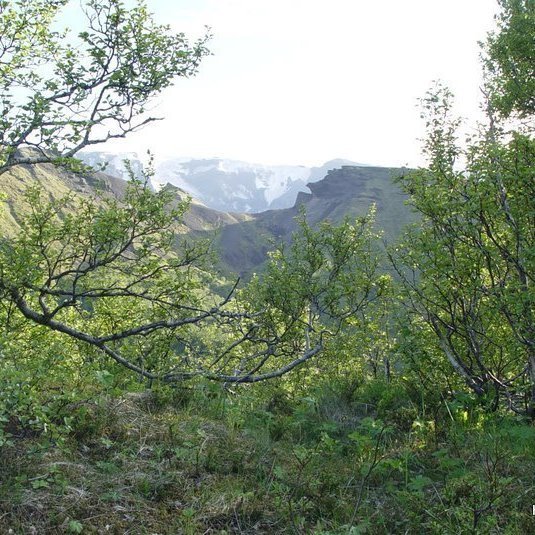 (mynd: Hreinn Óskarsson)