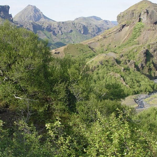 (mynd: Hreinn Óskarsson)