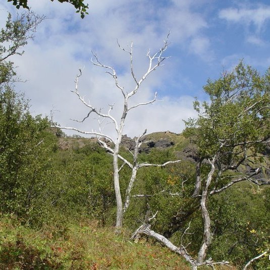 (mynd: Hreinn Óskarsson)