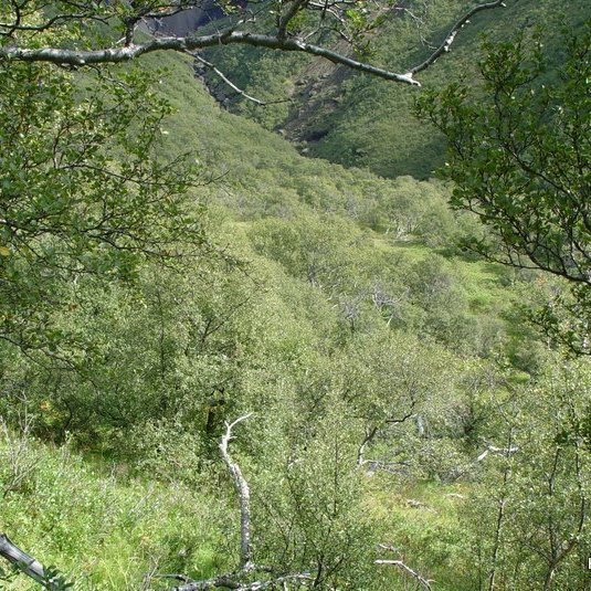 (mynd: Hreinn Óskarsson)