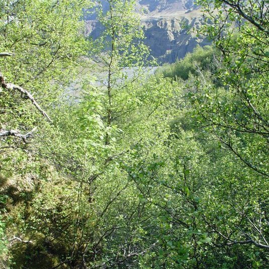 (mynd: Hreinn Óskarsson)