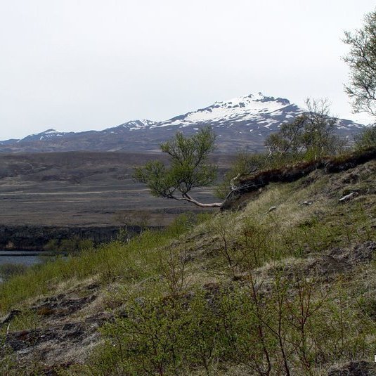 (mynd: Hreinn Óskarsson)