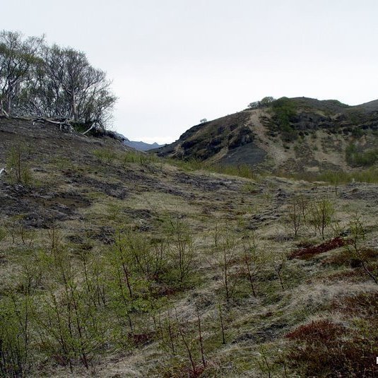 (mynd: Hreinn Óskarsson)