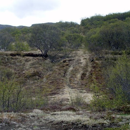 (mynd: Hreinn Óskarsson)