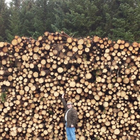 Þröstur við myndarlega timburstæðu í Daníelslundi Borgarfirði