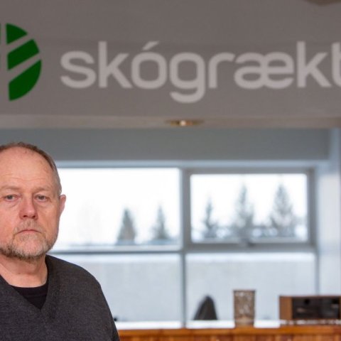 Þröstur á aðalskrifstofu Skógræktarinnar á Egilsstöðum