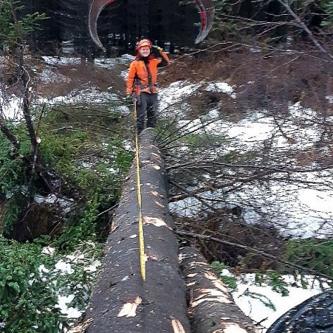 Frederik Zell Reimers skógarnemi lengdarmælir tréð. Ljósmynd: Jóhannes H. Sigurðsson