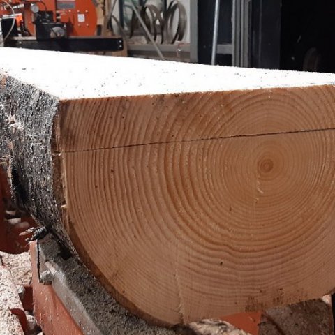 Þykkur gæðaplanki og fallegir árhringir. Ljósmynd: Jóhannes H. Sigurðsson