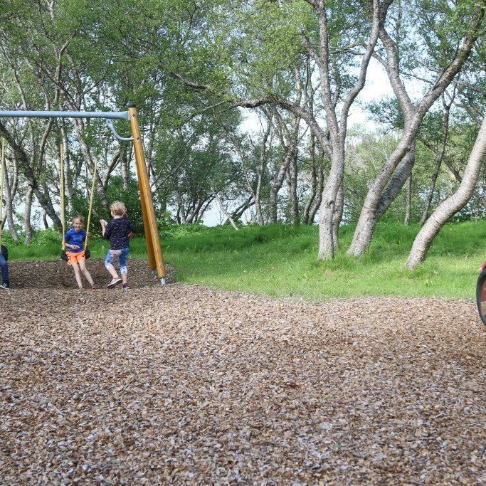 Góð leiksvæði eru á báðum tjaldsvæðunum í skóginum. Ljósmynd: Pétur Halldórsson