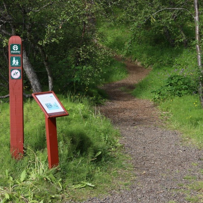 Merkt gönguleið með lýsingu.  Ljósmynd: Pétur Halldórsson