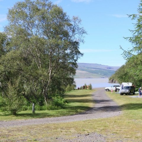 Ekki er amalegt að upplifa nótt í Atlavík með angan sem er engu lík. Ljósmynd: Pétur Halldórsson