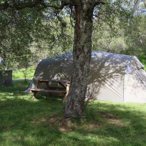  Notalegt er að tjalda undir gömlu birkitré í lognkyrrum skóginum. Ljósmynd: Pétur Halldórsson