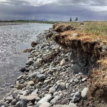  Hér vantar trjáræturnar til að verja bakkann. Ljósmynd: Sara L. Rathburn