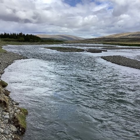Rof á trjálausum árbakka. Ljósmynd: Sara L. Rathburn