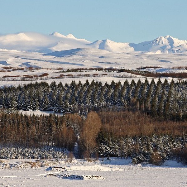 (mynd: Hrafn Óskarsson)