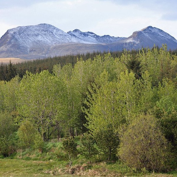 (mynd: Hrafn Óskarsson)