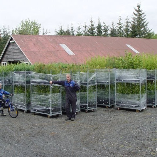 (mynd: Hreinn Óskarsson)