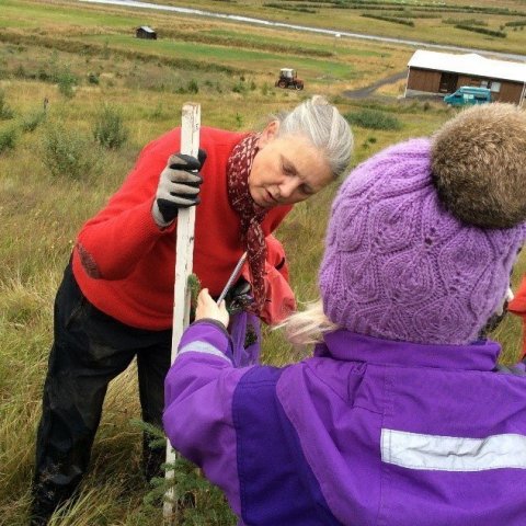 Krakkarnir fara tvisvar á ári í skóginn, að vori og hausti.  Hér leiðbeinir Arnlín við trjámælingar. 