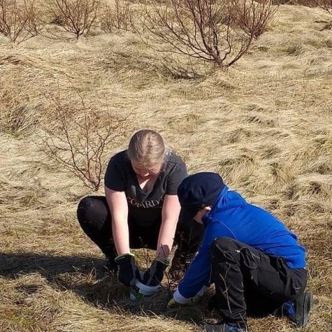 Mjór er mikils vísir. Ljósmynd: Arnlín Óladóttir