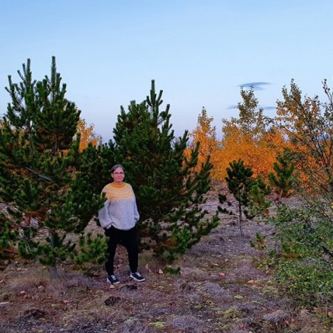 Svanhvít við furur gróðursettar 2007. Ljósmynd: Benedikt Benediktsson